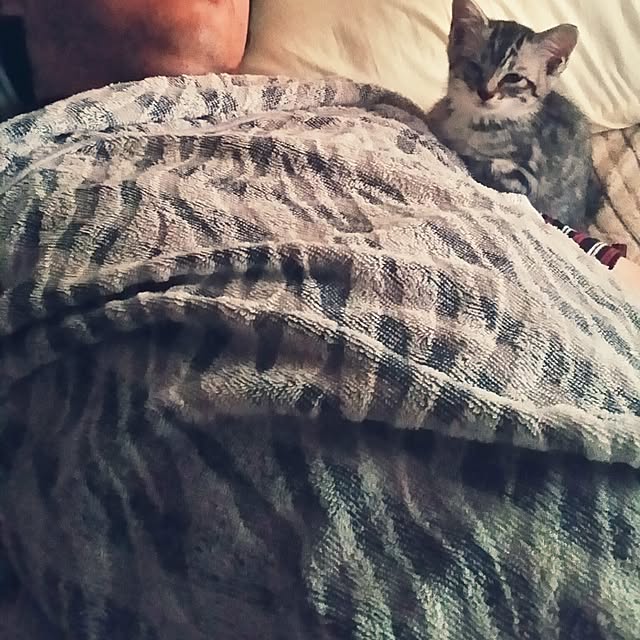 annさんの実例写真