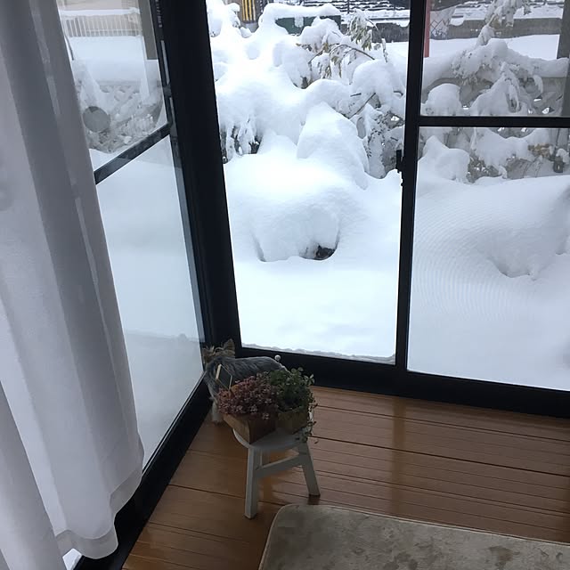 mayuoさんの実例写真