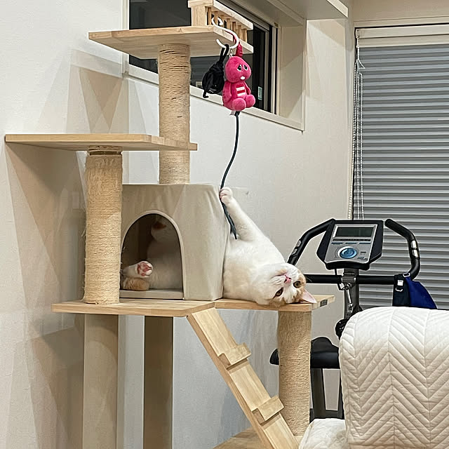 yumiさんの部屋