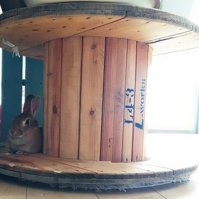 hirariさんの実例写真