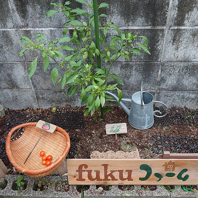 fukuさんの実例写真
