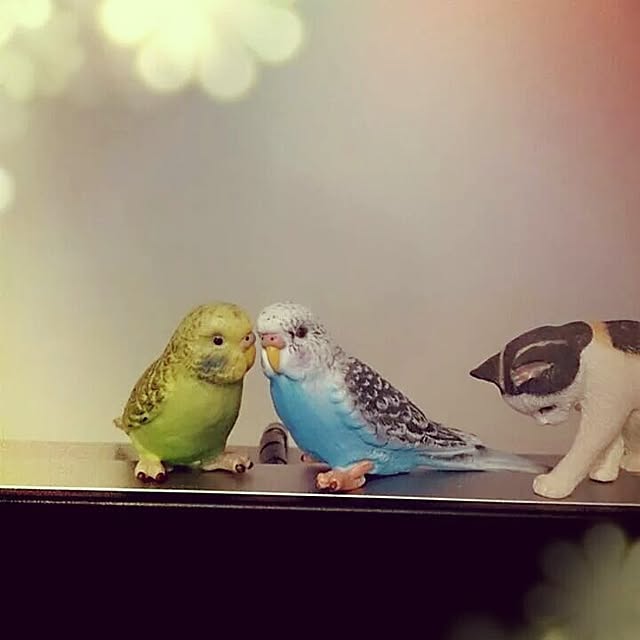 Asakoさんの実例写真