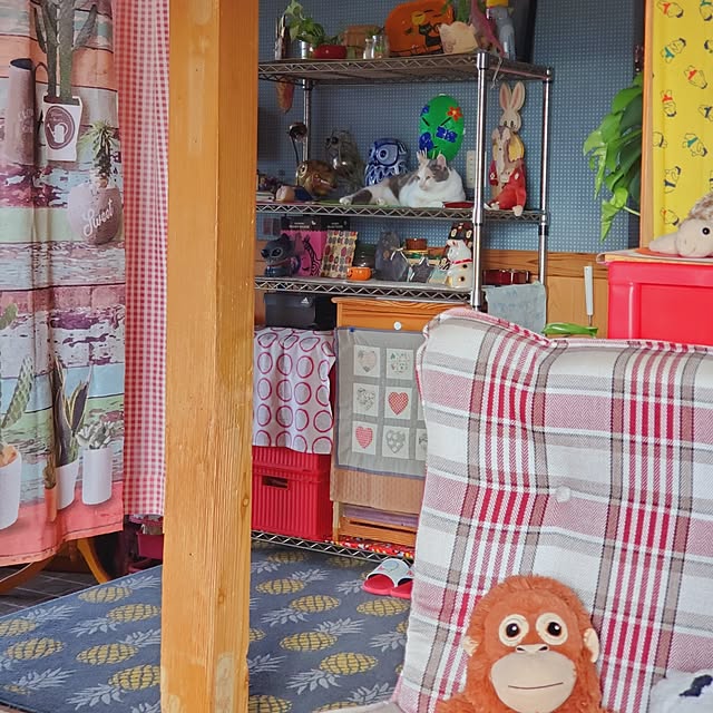 kumutanさんの部屋