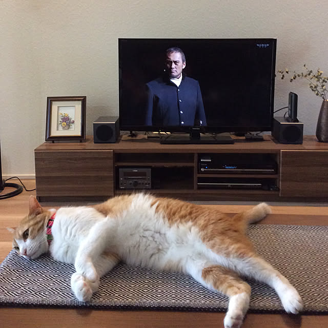 houenさんの実例写真