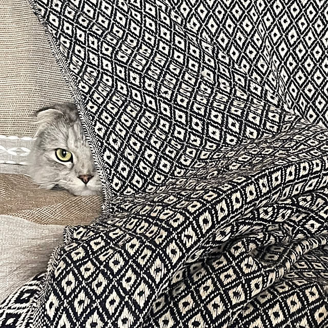 hirominさんの実例写真