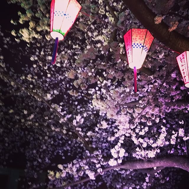 Hayakawaさんの実例写真