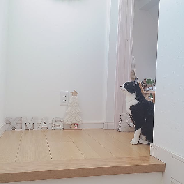 lovecatさんの実例写真