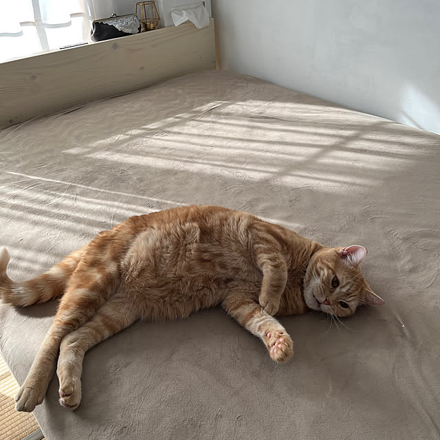 Atelier.mさんの実例写真