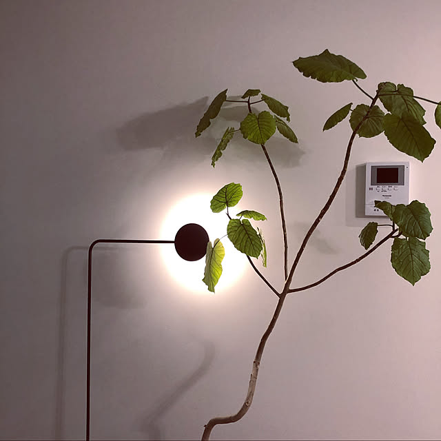 leafさんの実例写真