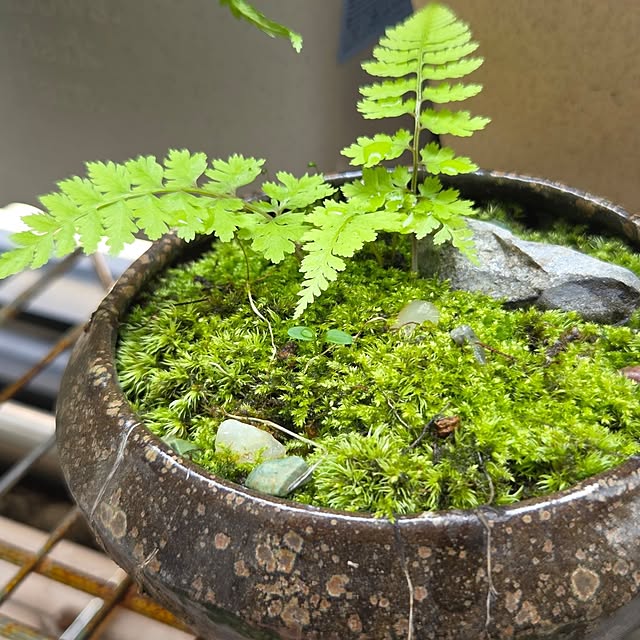 yainoさんの部屋
