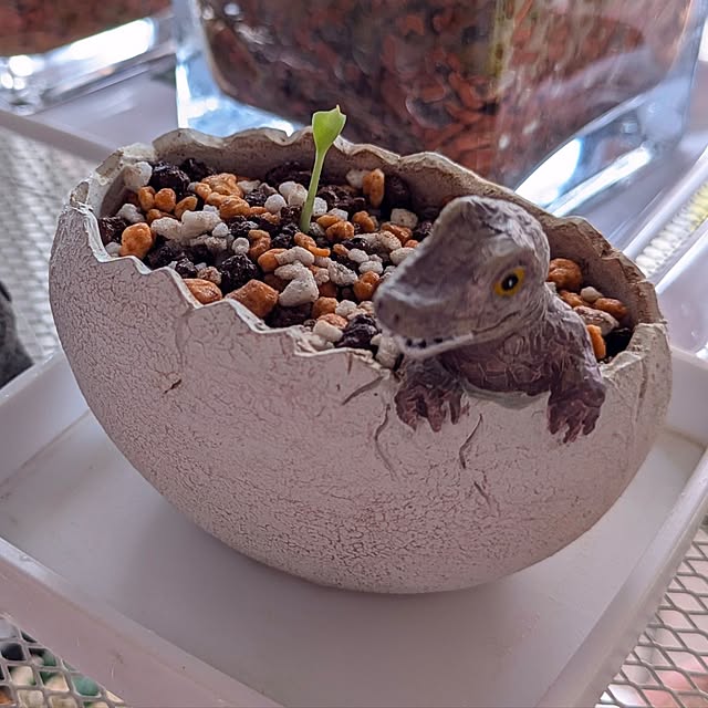 mi-saさんの実例写真