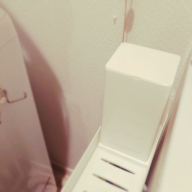 siratamariさんの実例写真