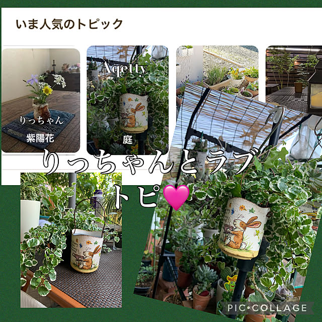 Aqettyさんの実例写真