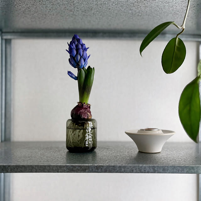 moon.mさんの実例写真