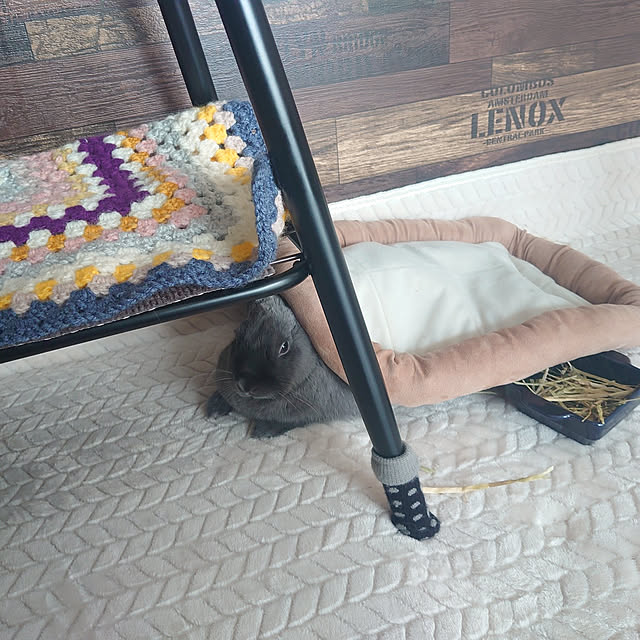 kirariさんの実例写真