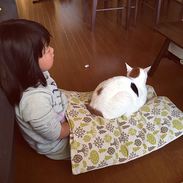 ichi.さんの実例写真