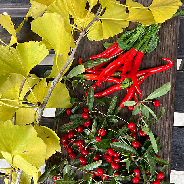 ALICEさんの実例写真