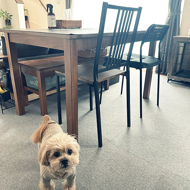 ikt.tamaさんの実例写真