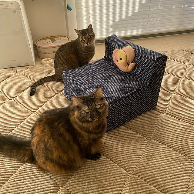mikomaruさんの実例写真
