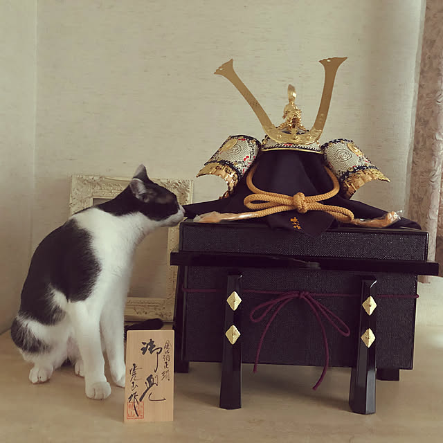 chokku23さんの実例写真