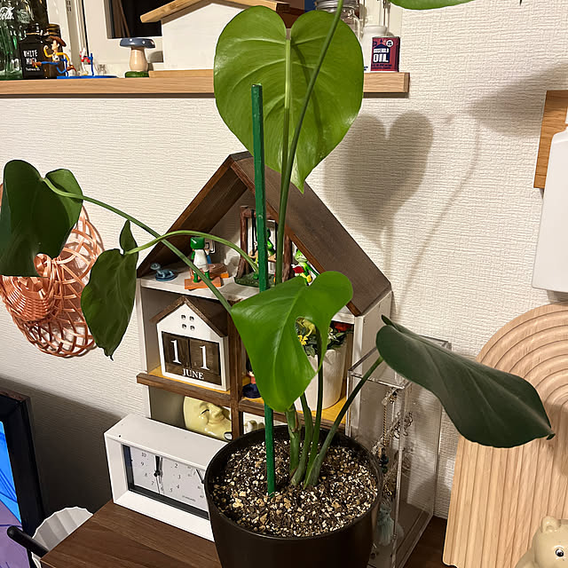 R.S.Kさんの実例写真
