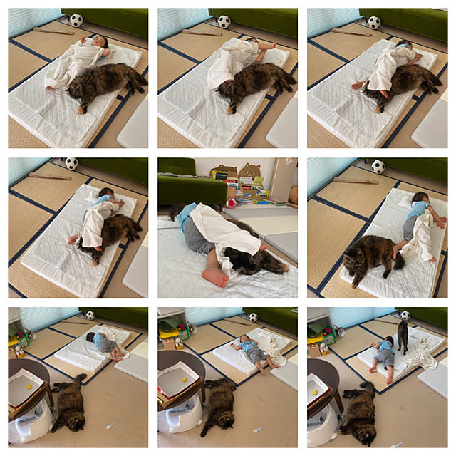 mikomaruさんの実例写真