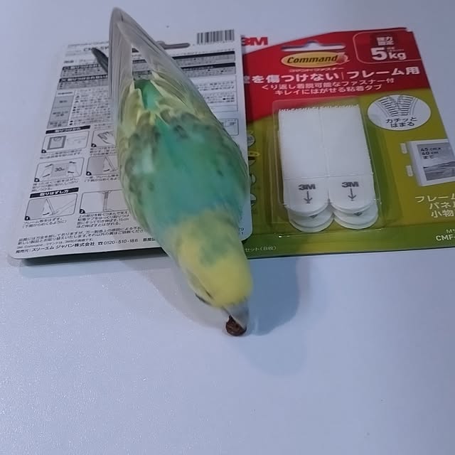 toratanさんの部屋