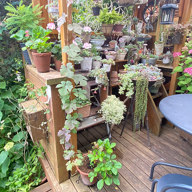 mintteaさんの部屋