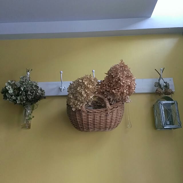 Hasshyさんの実例写真