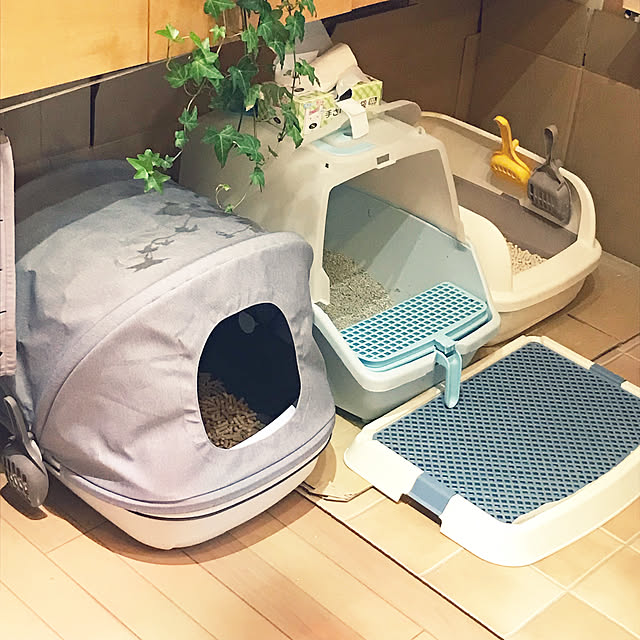 kou-kitiさんの実例写真