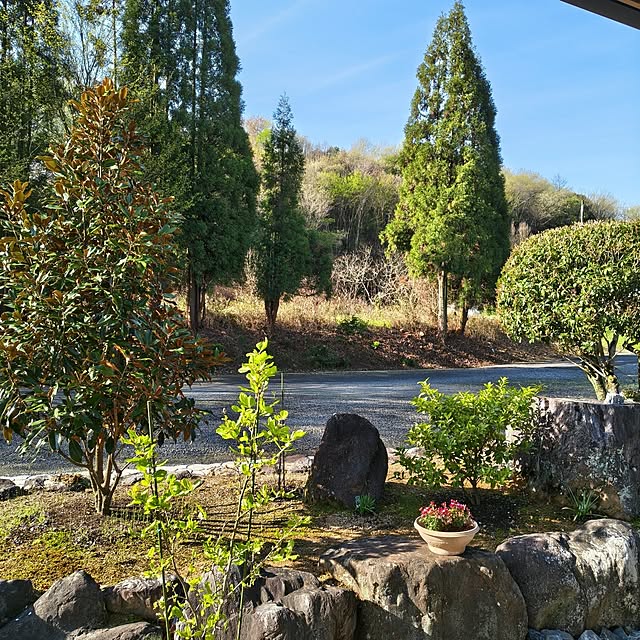 Rubiconさんの部屋