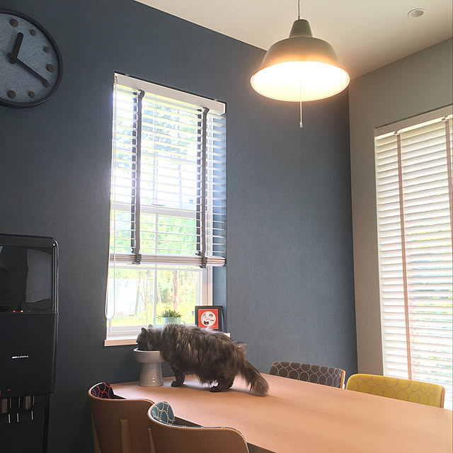 nyancohomeさんの実例写真