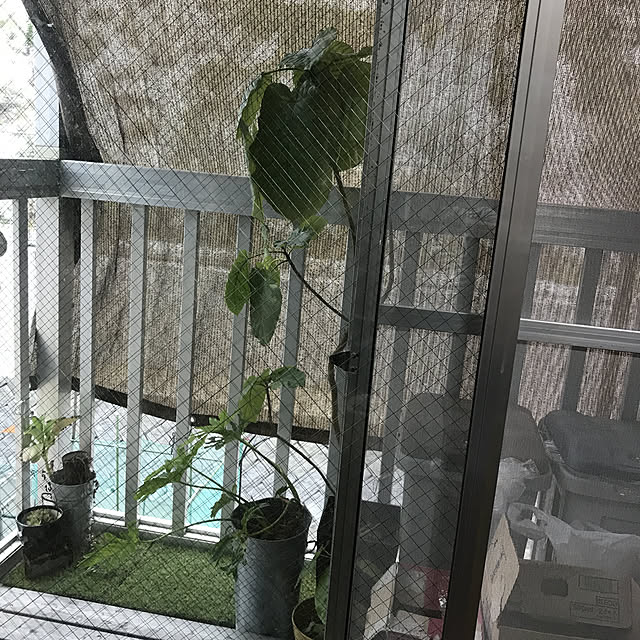 misamisa1113さんの実例写真