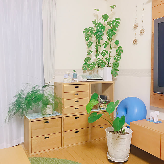 yukaさんの実例写真
