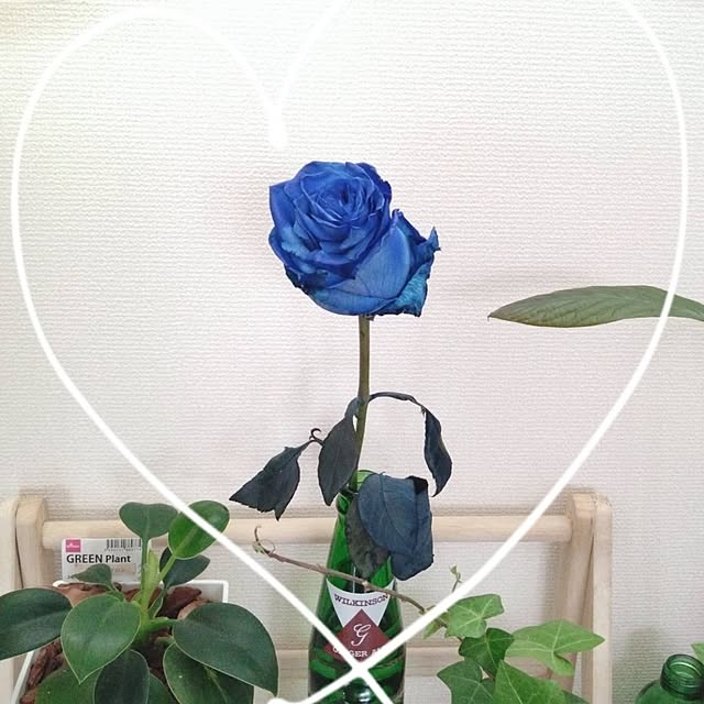 sumomoさんの実例写真