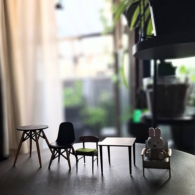 noaさんの実例写真