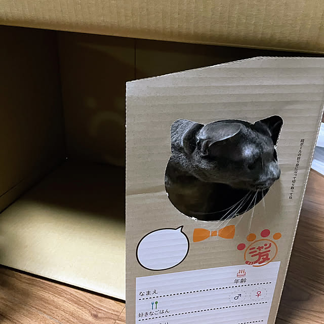 kikurinさんの部屋