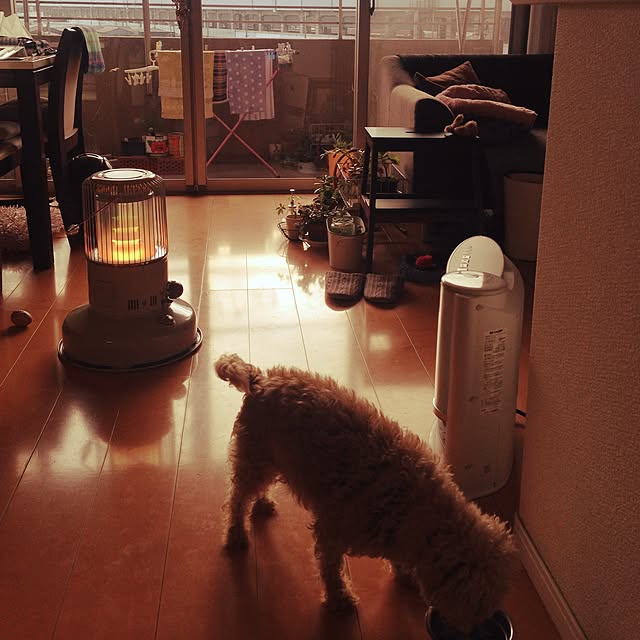 yさんの実例写真