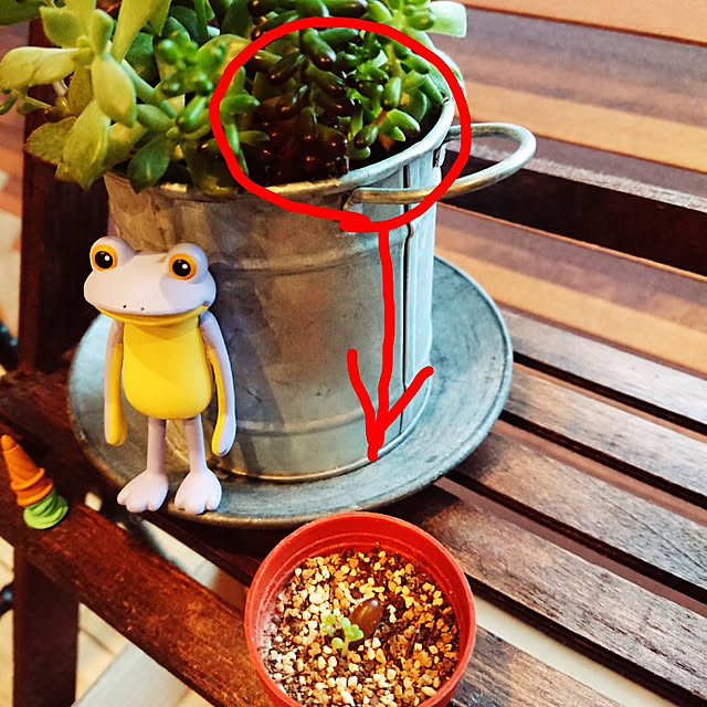 chinaminiさんの実例写真