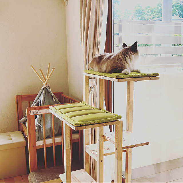 masyacanonさんの実例写真