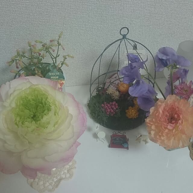 棚/癒しのインテリア実例 - 2014-04-16 12:43:42