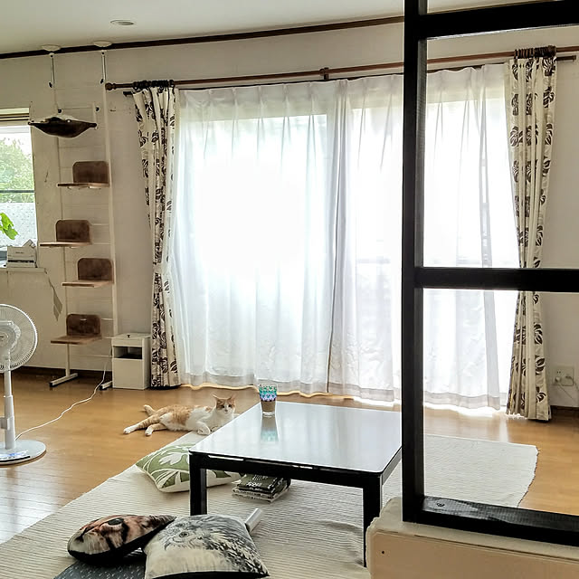 Kinanさんの実例写真