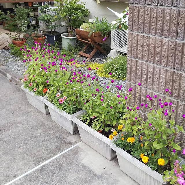 chiikokunさんの実例写真