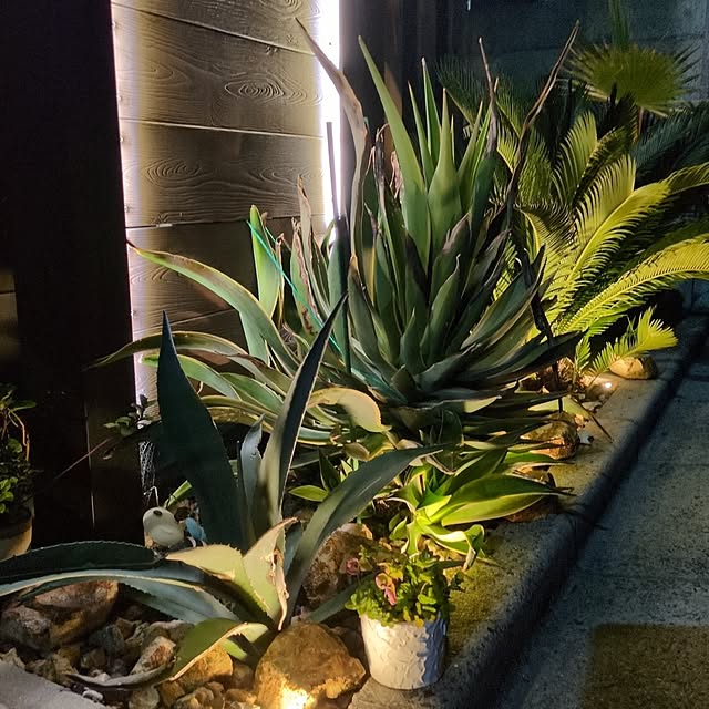 milkyさんの実例写真