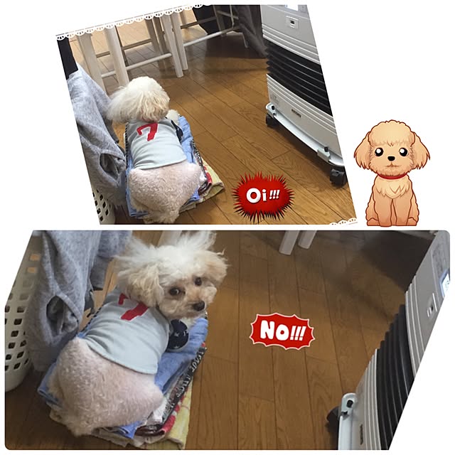 mimさんの実例写真