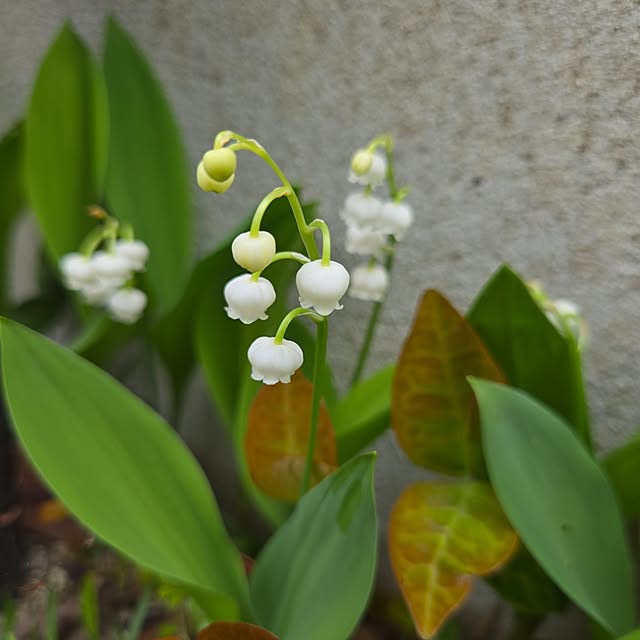 min_nimさんの部屋