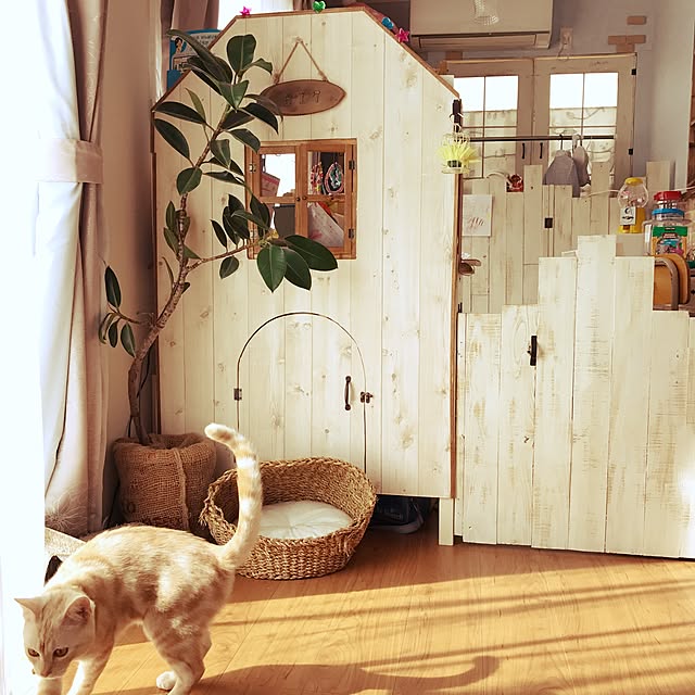 bambi_eyeさんの実例写真