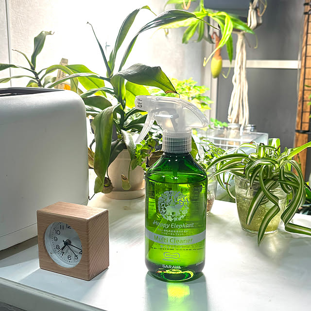 greycatsさんの実例写真