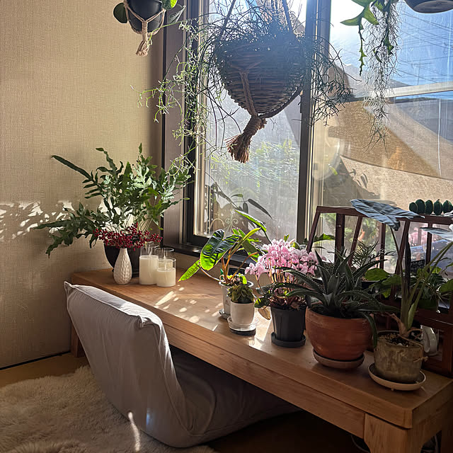 greycatsさんの部屋