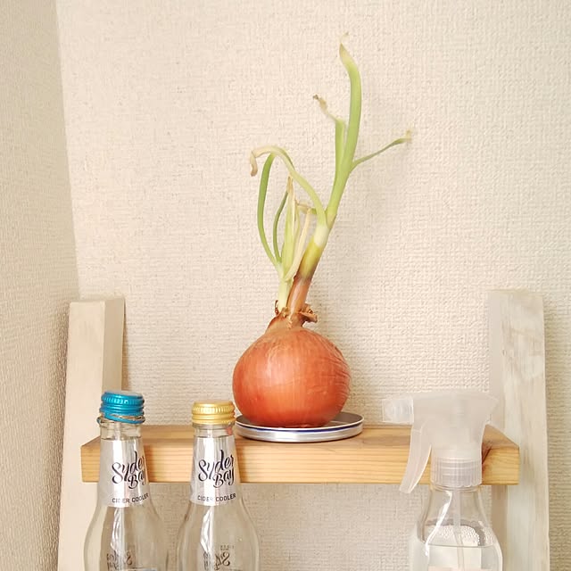 nelo85さんの実例写真